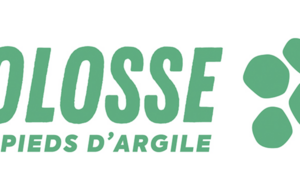 Invitation à une intervention  – sensibilisation aux violences dans le sport